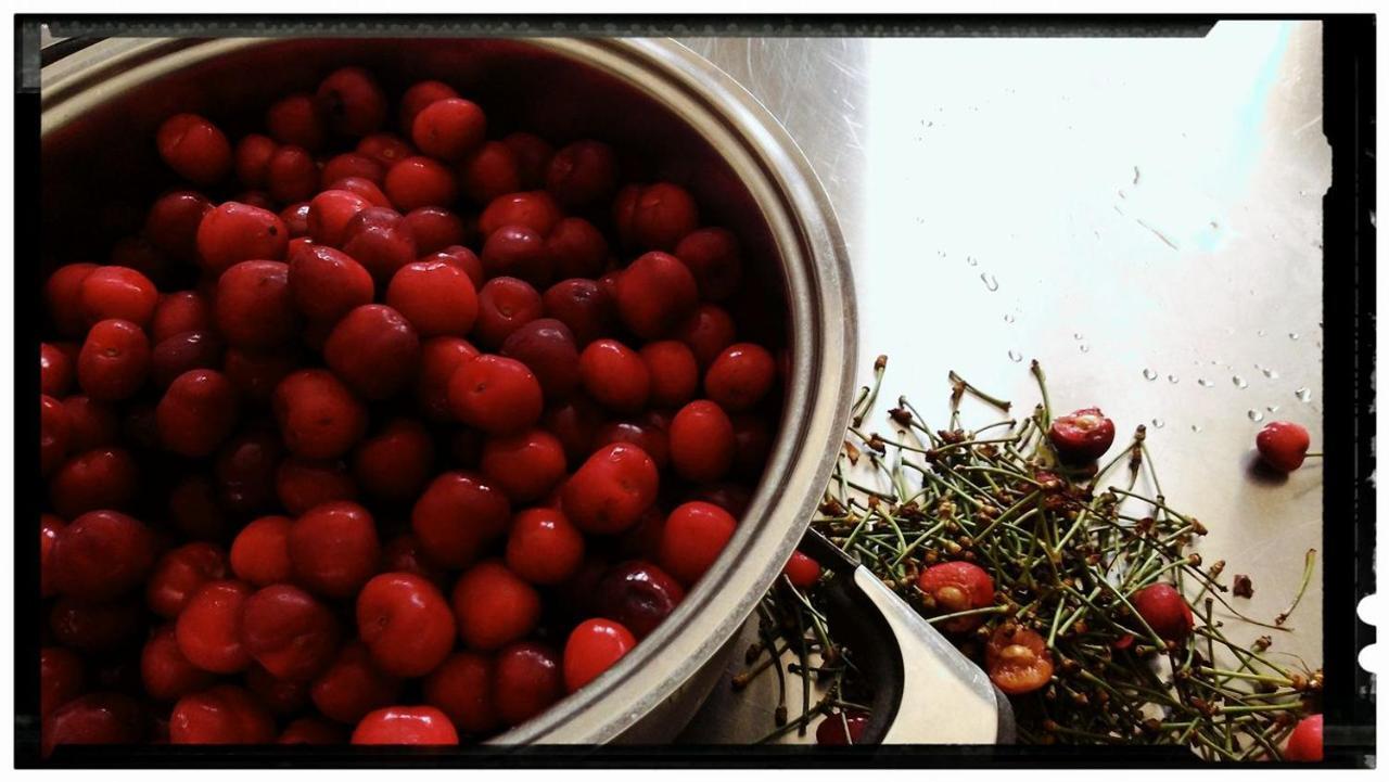 Locanda Agnella Porto Mantovano Ngoại thất bức ảnh